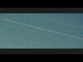 Трейлер: Великая красота / La grande bellezza / Паоло Соррентино ,2013 (драма, комедия)